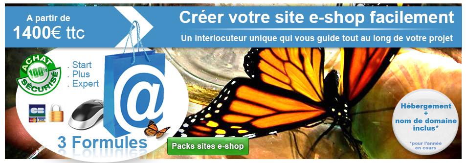 créer votre site vitrine grâce a nos packs