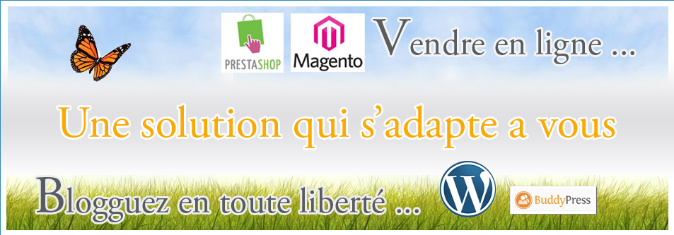 solution web entre niort et fontenay le comte : wordpress, prestashop ...
